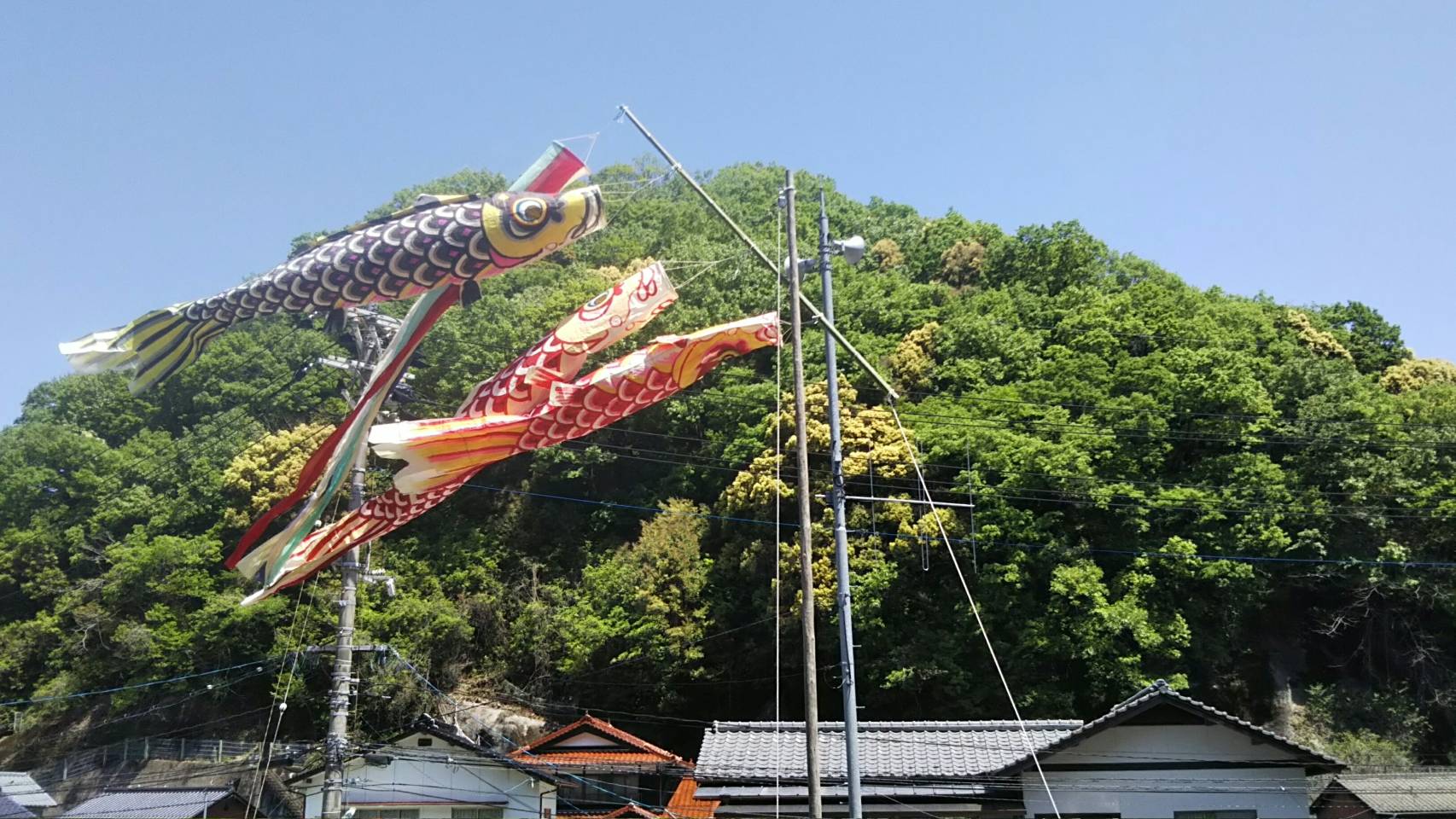 バッサバッサと音をたてて泳ぐ和紙の鯉のぼり。 | おおたけ手すき和紙の里